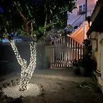 The Lemon Garden